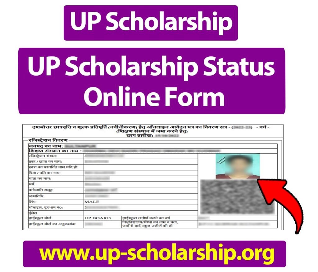 UP Scholarship